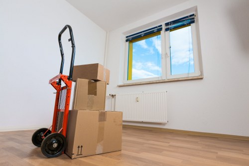 Local storage service considerations for St Johns Wood access and parking